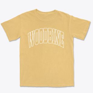 Woodbine New Jersey Trendy Block Premium Heavyweight T-shirt