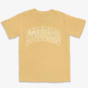 Stoddard New Hampshire Trendy Block Premium Heavyweight T-shirt
