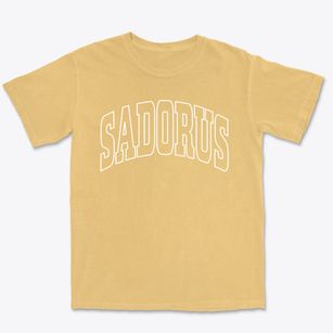 Sadorus Illinois Trendy Block Premium Heavyweight T-shirt