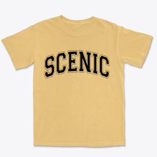Scenic Arizona Varsity Premium Heavyweight T-shirt