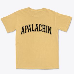 Apalachin New York Varsity Premium Heavyweight T-shirt