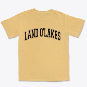 Land O'lakes Wisconsin Varsity Premium Heavyweight T-shirt