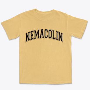 Nemacolin Pennsylvania Varsity Premium Heavyweight T-shirt