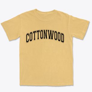Cottonwood Texas Varsity Premium Heavyweight T-shirt