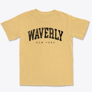Waverly New York Urban Vibe Premium Heavyweight T-shirt