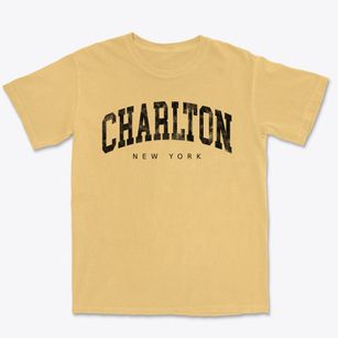 Charlton New York Urban Vibe Premium Heavyweight T-shirt