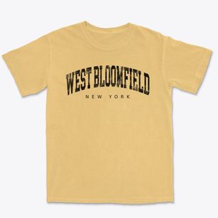 West Bloomfield New York Urban Vibe Premium Heavyweight T-shirt