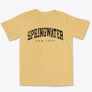Springwater New York Urban Vibe Premium Heavyweight T-shirt