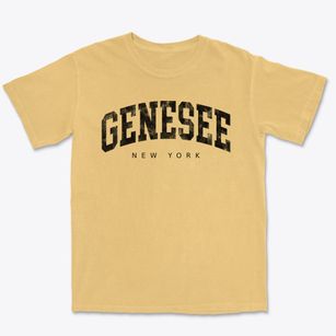 Genesee New York Urban Vibe Premium Heavyweight T-shirt
