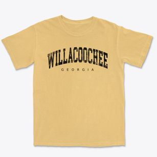 Willacoochee Georgia Urban Vibe Premium Heavyweight T-shirt