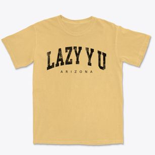 Lazy Y U Arizona Urban Vibe Premium Heavyweight T-shirt