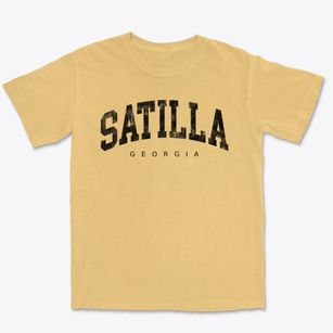 Satilla Georgia Urban Vibe Premium Heavyweight T-shirt