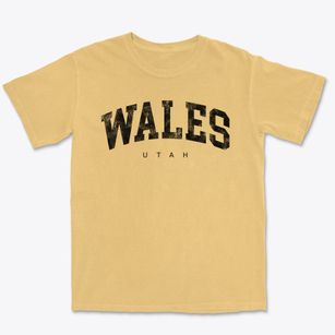 Wales Utah Urban Vibe Premium Heavyweight T-shirt