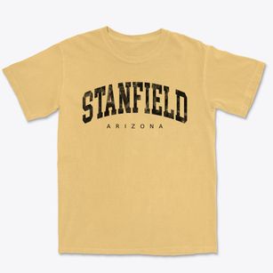 Stanfield Arizona Urban Vibe Premium Heavyweight T-shirt