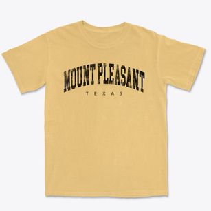 Mount Pleasant Texas Urban Vibe Premium Heavyweight T-shirt