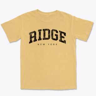 Ridge New York Urban Vibe Premium Heavyweight T-shirt