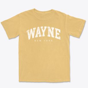 Wayne New York Urban Vibe Premium Heavyweight T-shirt