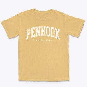 Penhook Virginia Urban Vibe Premium Heavyweight T-shirt