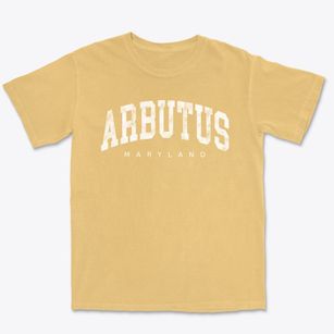 Arbutus Maryland Urban Vibe Premium Heavyweight T-shirt