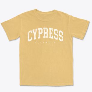 Cypress Illinois Urban Vibe Premium Heavyweight T-shirt