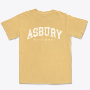 Asbury Missouri Urban Vibe Premium Heavyweight T-shirt