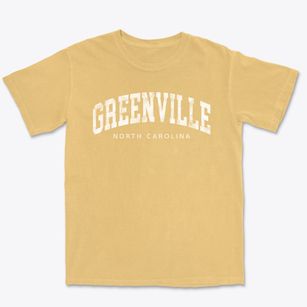 Greenville North Carolina Urban Vibe Premium Heavyweight T-shirt