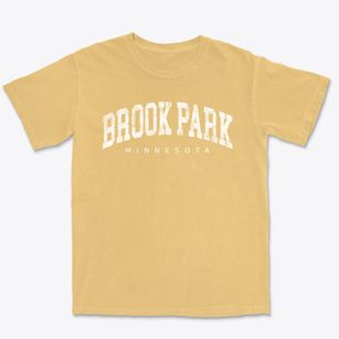 Brook Park Minnesota Urban Vibe Premium Heavyweight T-shirt