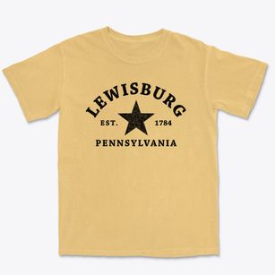 Lewisburg Pennsylvania Star Premium Heavyweight T-shirt