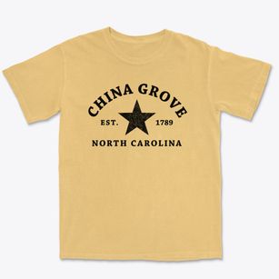 China Grove North Carolina Star Premium Heavyweight T-shirt