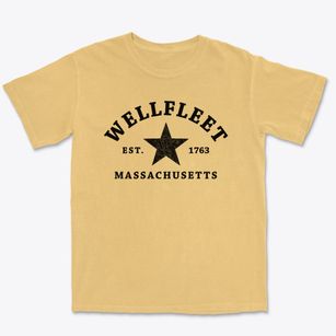 Wellfleet Massachusetts Star Premium Heavyweight T-shirt