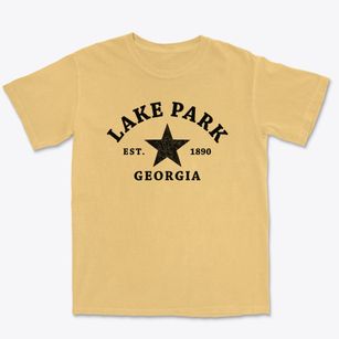 Lake Park Georgia Star Premium Heavyweight T-shirt