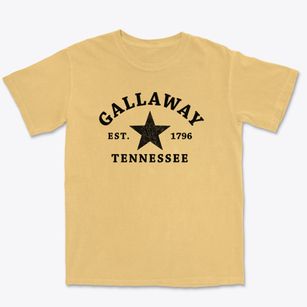 Gallaway Tennessee Star Premium Heavyweight T-shirt