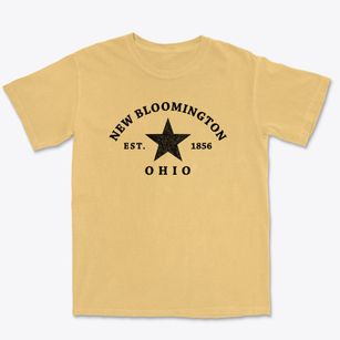 New Bloomington Ohio Star Premium Heavyweight T-shirt
