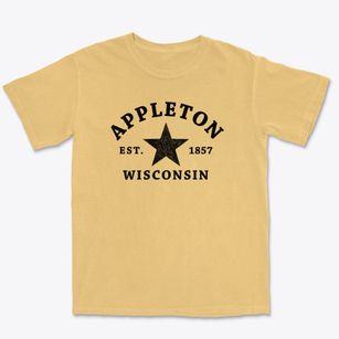 Appleton Wisconsin Star Premium Heavyweight T-shirt