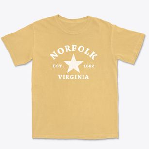 Norfolk Virginia Star Premium Heavyweight T-shirt