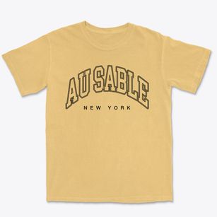 Au Sable New York Inline Premium Heavyweight T-shirt