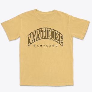 Nanticoke Maryland Inline Premium Heavyweight T-shirt