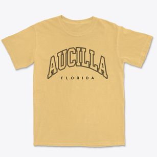 Aucilla Florida Inline Premium Heavyweight T-shirt