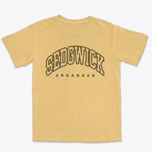 Sedgwick Arkansas Inline Premium Heavyweight T-shirt
