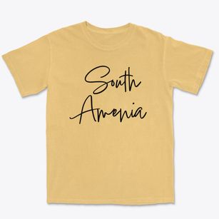 South Amenia New York Freestyle Premium Heavyweight T-shirt