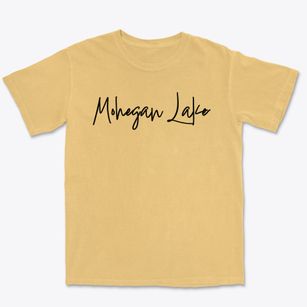 Mohegan Lake New York Freestyle Premium Heavyweight T-shirt