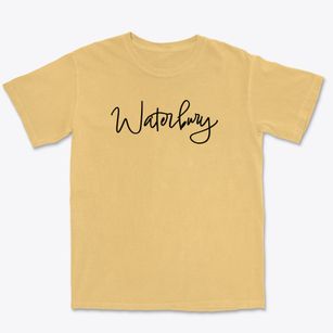 Waterbury Vermont Freestyle Premium Heavyweight T-shirt