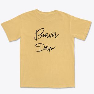 Beaver Dam Wisconsin Freestyle Premium Heavyweight T-shirt