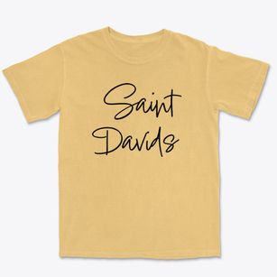 Saint Davids Pennsylvania Freestyle Premium Heavyweight T-shirt