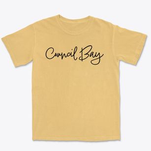 Council Bay Wisconsin Freestyle Premium Heavyweight T-shirt