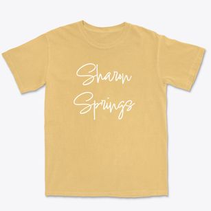 Sharon Springs New York Freestyle Premium Heavyweight T-shirt