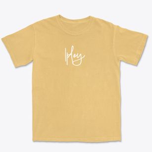 Ipley Missouri Freestyle Premium Heavyweight T-shirt