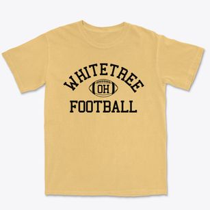 Whitetree Ohio Football Premium Heavyweight T-shirt