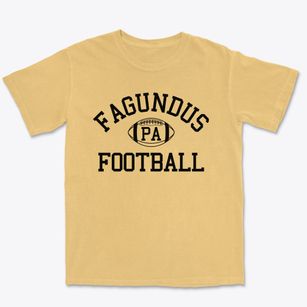 Fagundus Pennsylvania Football Premium Heavyweight T-shirt