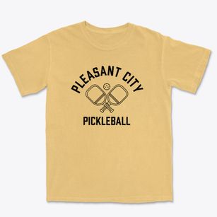 Pleasant City Ohio Pickleball Premium Heavyweight T-shirt
